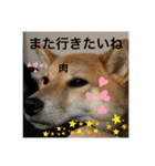 じゅじゅときんた②（個別スタンプ：13）