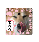じゅじゅときんた②（個別スタンプ：18）
