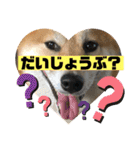 じゅじゅときんた②（個別スタンプ：21）