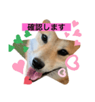 じゅじゅときんた②（個別スタンプ：22）