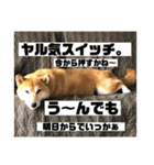 じゅじゅときんた②（個別スタンプ：24）