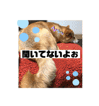じゅじゅときんた②（個別スタンプ：26）