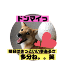 じゅじゅときんた②（個別スタンプ：28）