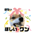 じゅじゅときんた②（個別スタンプ：29）