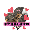 じゅじゅときんた②（個別スタンプ：32）