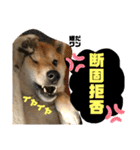 じゅじゅときんた②（個別スタンプ：34）