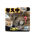 じゅじゅときんた②（個別スタンプ：36）