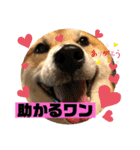 じゅじゅときんた②（個別スタンプ：37）