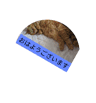 挨拶希望（個別スタンプ：5）