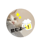 ジェラピスタンプ（個別スタンプ：10）