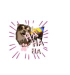 ちょるちょる（個別スタンプ：3）
