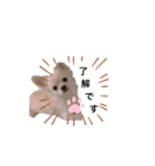 ちょるちょる（個別スタンプ：4）