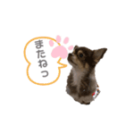 ちょるちょる（個別スタンプ：7）