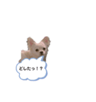 ちょるちょる（個別スタンプ：14）