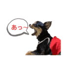 ちょるちょる（個別スタンプ：15）