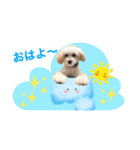 まろん＆きなこ（個別スタンプ：1）
