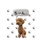 まろん＆きなこ（個別スタンプ：14）
