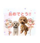 まろん＆きなこ（個別スタンプ：16）