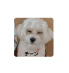 COCOののんびり（個別スタンプ：3）