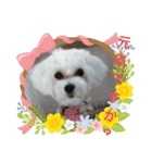 COCOののんびり（個別スタンプ：7）