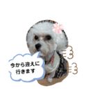 COCOののんびり（個別スタンプ：8）
