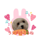 COCOののんびり（個別スタンプ：9）