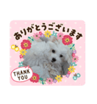 COCOののんびり（個別スタンプ：10）