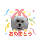 COCOののんびり（個別スタンプ：12）