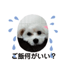COCOののんびり（個別スタンプ：13）