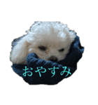 まる(お)（個別スタンプ：2）