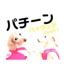 lovelyダックスフンド日常使いPart4（個別スタンプ：12）