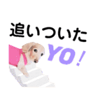 lovelyダックスフンド日常使いPart4（個別スタンプ：38）
