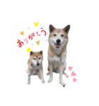 サカタとはなこともずく よく使うやつ（個別スタンプ：17）