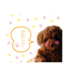 こちょのすたんぷ（個別スタンプ：9）
