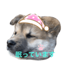 もっくんスタンプU´•ﻌ•`U（個別スタンプ：2）