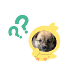 もっくんスタンプU´•ﻌ•`U（個別スタンプ：8）