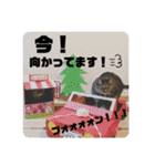 いがねこスタンプ（個別スタンプ：3）
