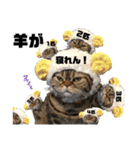 いがねこスタンプ（個別スタンプ：22）