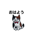 三毛猫にゃーのねこ刺繍スタンプ2（個別スタンプ：5）