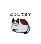 三毛猫にゃーのねこ刺繍スタンプ2（個別スタンプ：11）