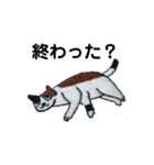 三毛猫にゃーのねこ刺繍スタンプ2（個別スタンプ：16）