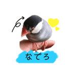 嫉妬深いぶんたろうくんのスタンプ①（個別スタンプ：3）