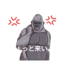 ゴリラのスタンプ♥（個別スタンプ：6）