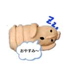 はにわさーん（個別スタンプ：5）