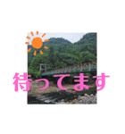 NORO LODGE オリジナル 1（個別スタンプ：12）