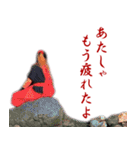 The TENGUZ（ザ テングズ） 其の壱（個別スタンプ：17）
