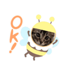 キジトラ猫の風太君（個別スタンプ：2）