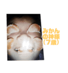羽山富弓のスタンプ(フォーマル版)（個別スタンプ：16）