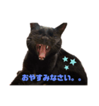 黒猫くろちゃんすたんぷ（個別スタンプ：2）