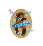 ちゃるすけ（個別スタンプ：2）